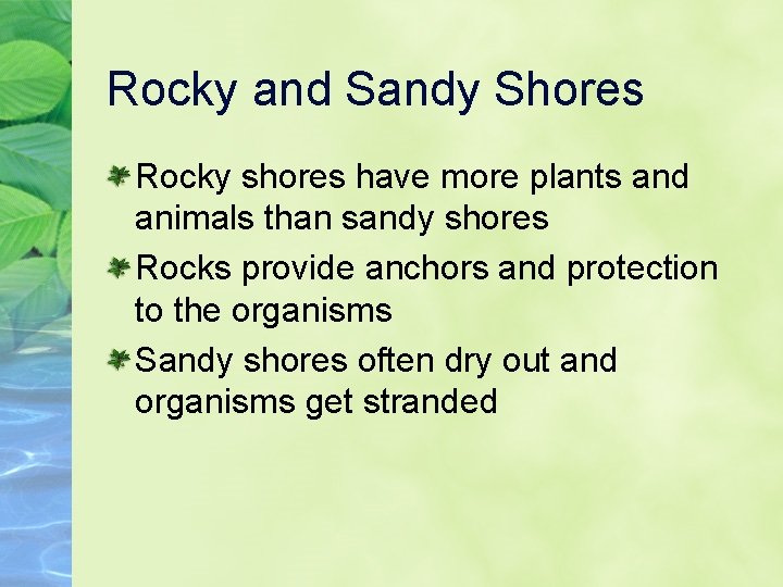 Rocky and Sandy Shores Rocky shores have more plants and animals than sandy shores