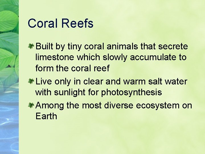 Coral Reefs Built by tiny coral animals that secrete limestone which slowly accumulate to