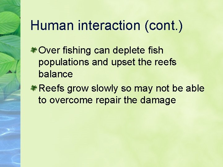 Human interaction (cont. ) Over fishing can deplete fish populations and upset the reefs