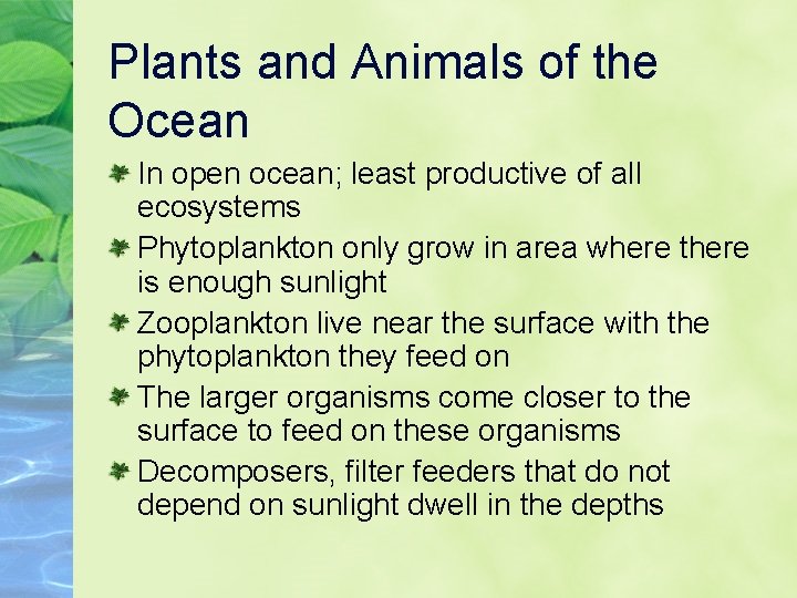 Plants and Animals of the Ocean In open ocean; least productive of all ecosystems