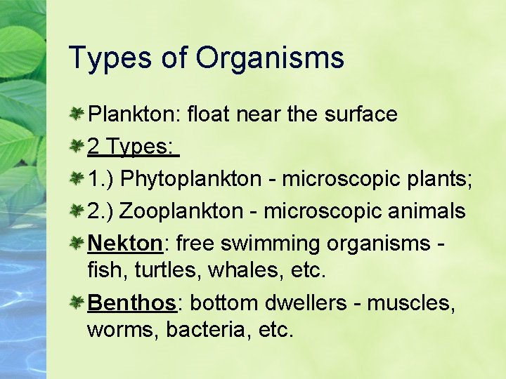 Types of Organisms Plankton: float near the surface 2 Types: 1. ) Phytoplankton -