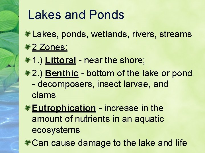 Lakes and Ponds Lakes, ponds, wetlands, rivers, streams 2 Zones: 1. ) Littoral -
