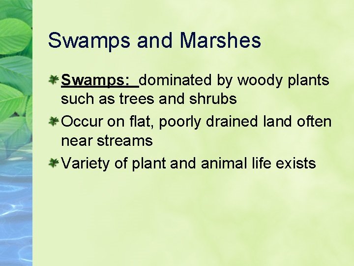 Swamps and Marshes Swamps: dominated by woody plants such as trees and shrubs Occur