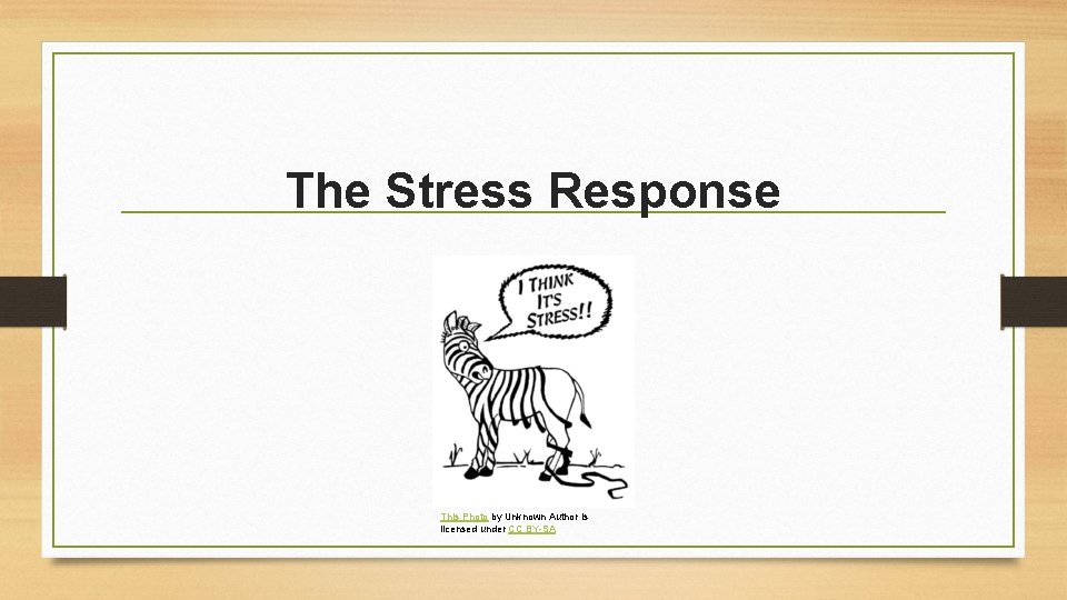The Stress Response This Photo by Unknown Author is licensed under CC BY-SA 