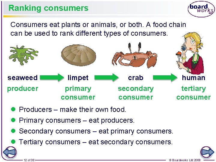 Ranking consumers Consumers eat plants or animals, or both. A food chain can be