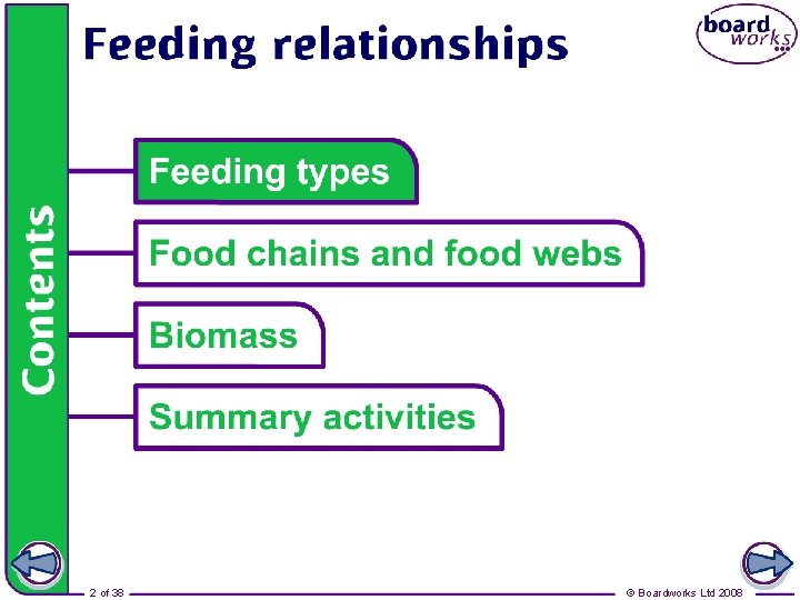 Food chains and webs 2 of 38 © Boardworks Ltd 2008 