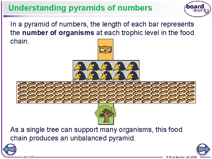 Understanding pyramids of numbers In a pyramid of numbers, the length of each bar