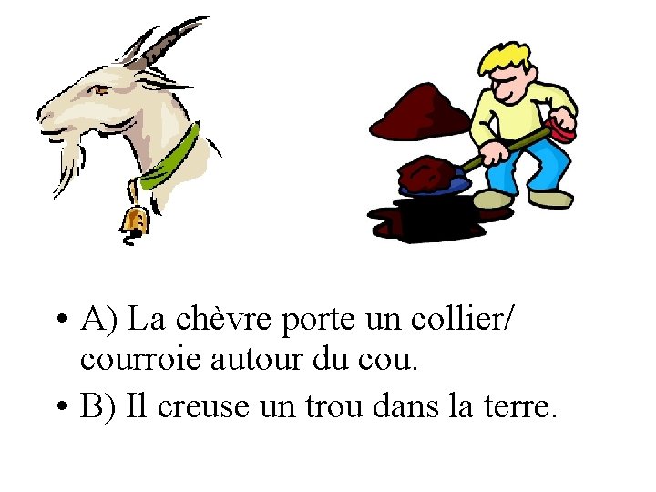  • A) La chèvre porte un collier/ courroie autour du cou. • B)