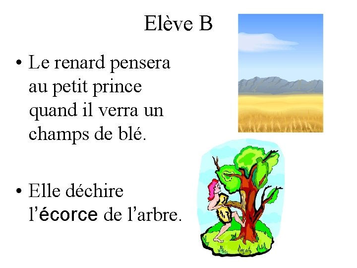 Elève B • Le renard pensera au petit prince quand il verra un champs