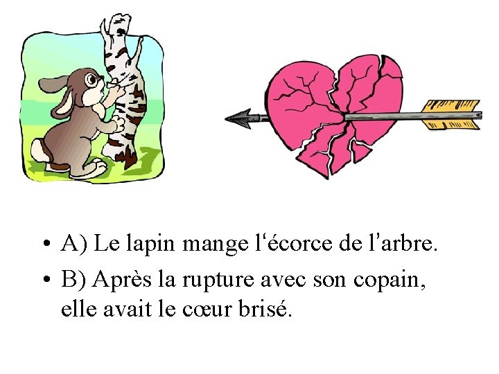  • A) Le lapin mange l‘écorce de l’arbre. • B) Après la rupture