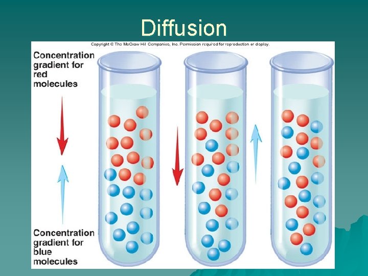 Diffusion 