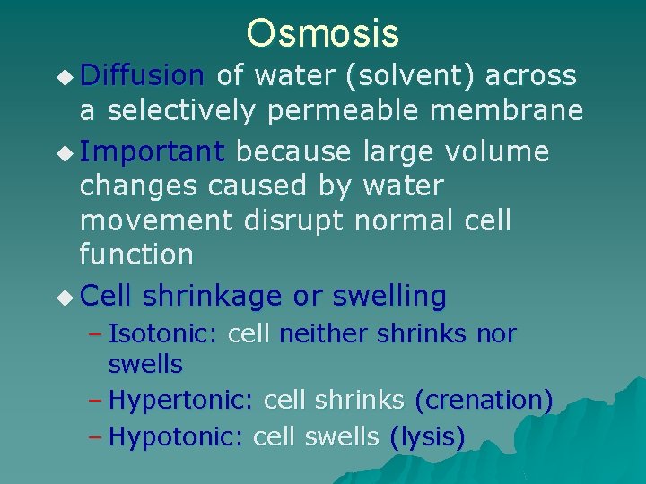u Diffusion Osmosis of water (solvent) across a selectively permeable membrane u Important because