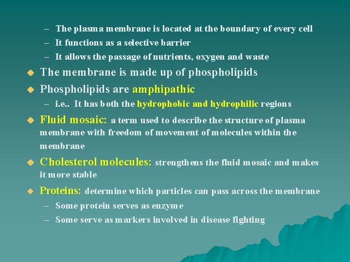 – The plasma membrane is located at the boundary of every cell – It