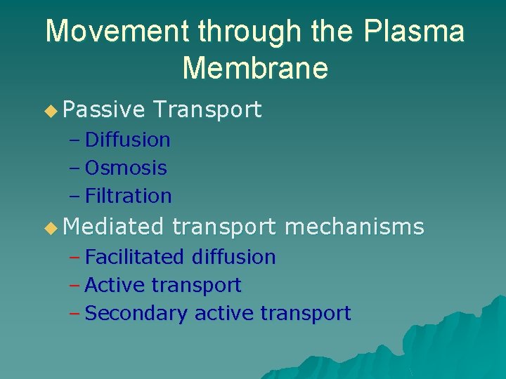 Movement through the Plasma Membrane u Passive Transport – Diffusion – Osmosis – Filtration