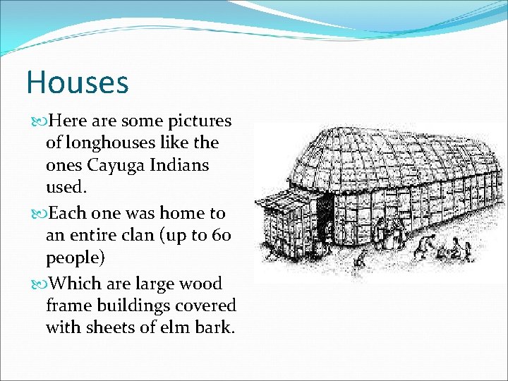 Houses Here are some pictures of longhouses like the ones Cayuga Indians used. Each