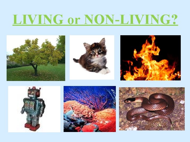 LIVING or NON-LIVING? 
