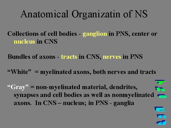 Anatomical Organizatin of NS Collections of cell bodies - ganglion in PNS, center or