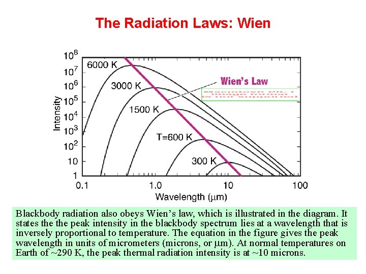 The Radiation Laws: Wien Blackbody radiation also obeys Wien’s law, which is illustrated in
