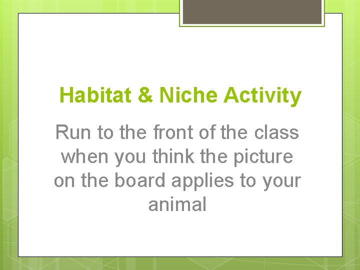 Habitat & Niche Activity Run to the front of the class when you think