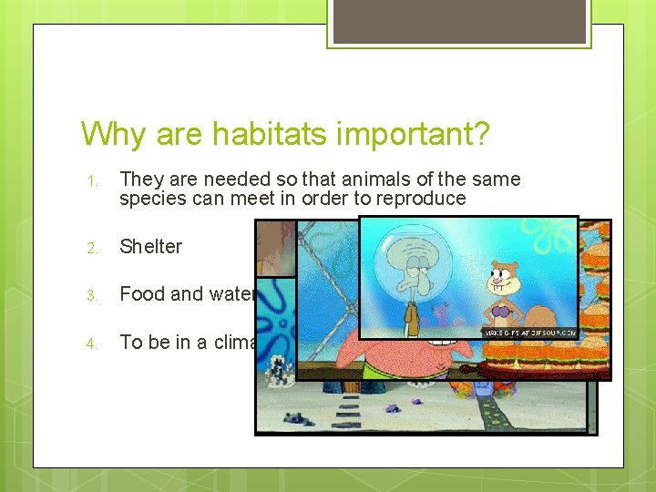 Why are habitats important? 1. They are needed so that animals of the same