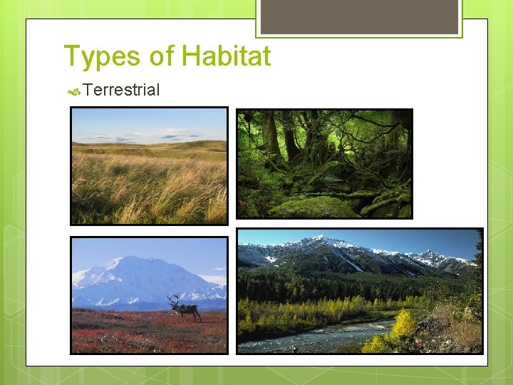 Types of Habitat Terrestrial 