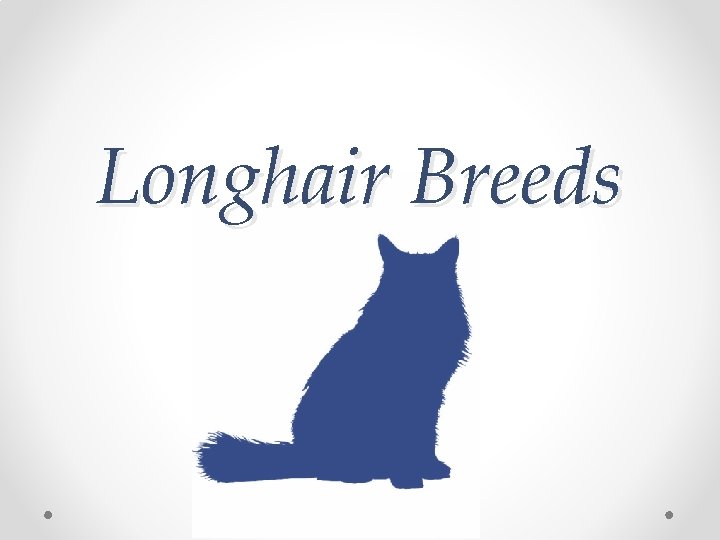 Longhair Breeds 