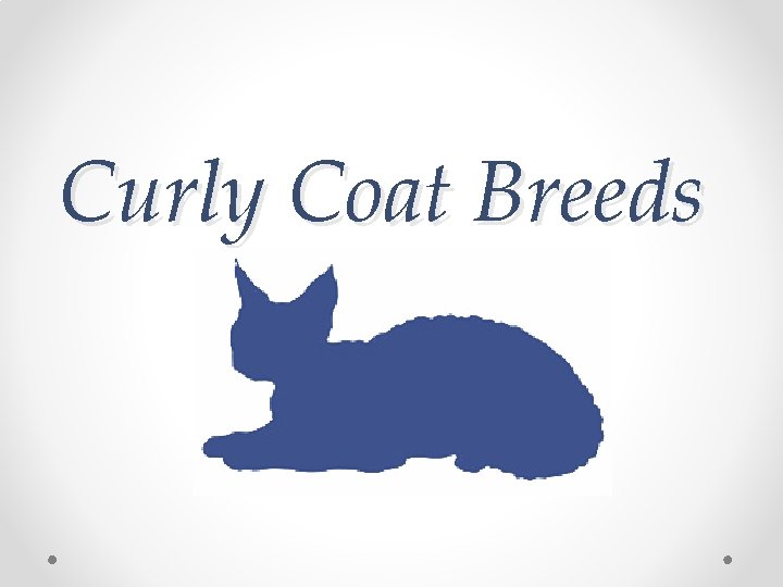 Curly Coat Breeds 