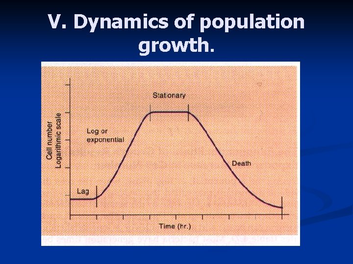 V. Dynamics of population growth. 