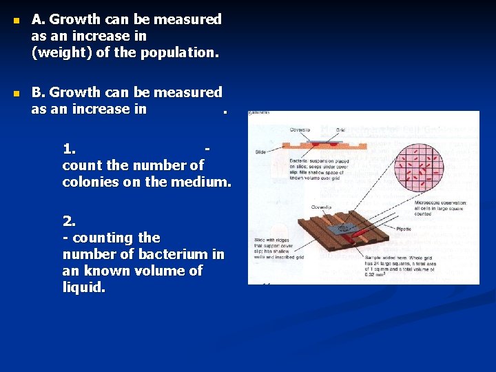 n A. Growth can be measured as an increase in (weight) of the population.
