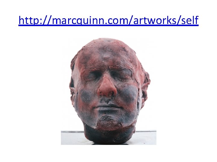 http: //marcquinn. com/artworks/self 
