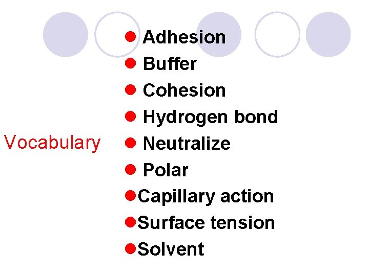 Vocabulary l Adhesion l Buffer l Cohesion l Hydrogen bond l Neutralize l Polar