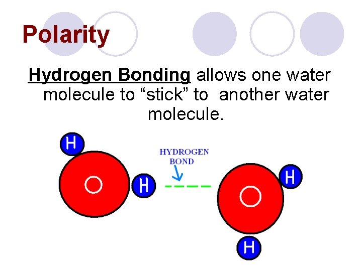 Polarity Hydrogen Bonding allows one water molecule to “stick” to another water molecule. 