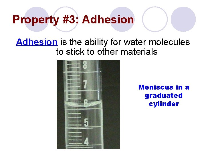 Property #3: Adhesion is the ability for water molecules to stick to other materials