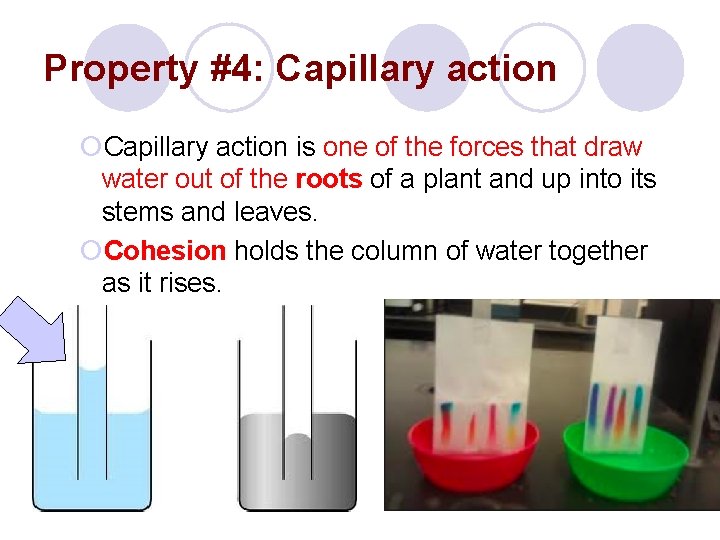 Property #4: Capillary action ¡Capillary action is one of the forces that draw water