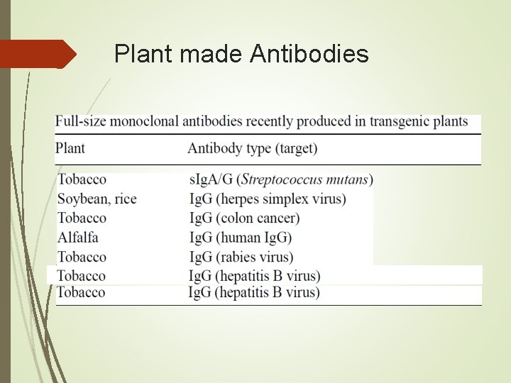 Plant made Antibodies 