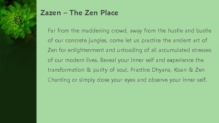 Zazen – The Zen Place Far from the maddening crowd, away from the hustle