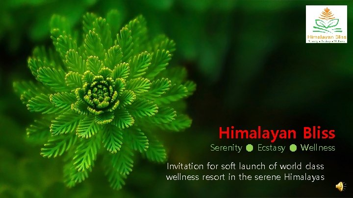 Himalayan Bliss Serenity ● Ecstasy ● Wellness Invitation for soft launch of world class