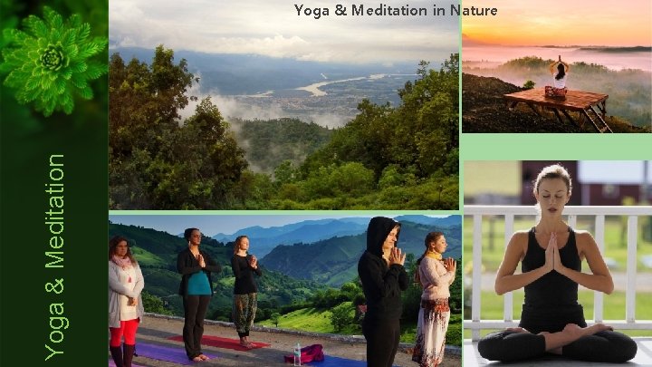 Yoga & Meditation in Nature 