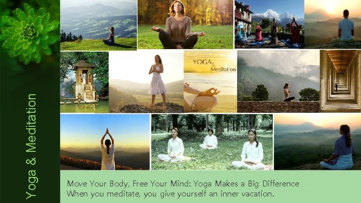 Yoga & Meditation Move Your Body, Free Your Mind: Yoga Makes a Big Difference