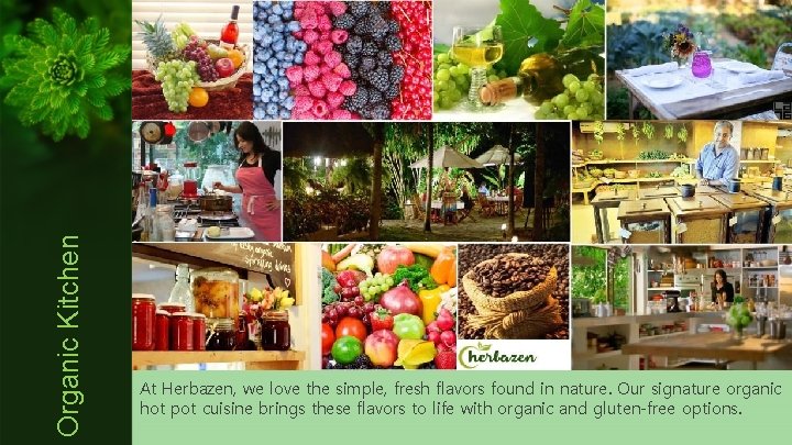 Organic Kitchen At Herbazen, we love the simple, fresh flavors found in nature. Our