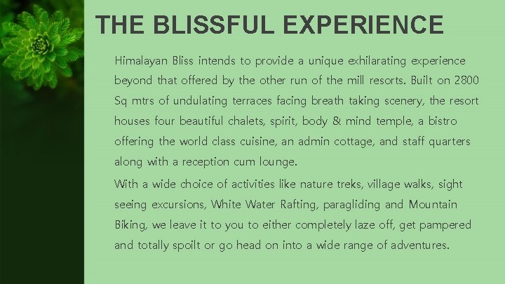 THE BLISSFUL EXPERIENCE Himalayan Bliss intends to provide a unique exhilarating experience beyond that