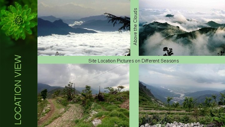 Above the Clouds LOCATION VIEW Site Location Pictures on Different Seasons 