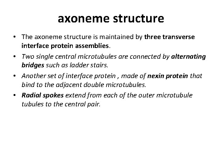 axoneme structure • The axoneme structure is maintained by three transverse interface protein assemblies.