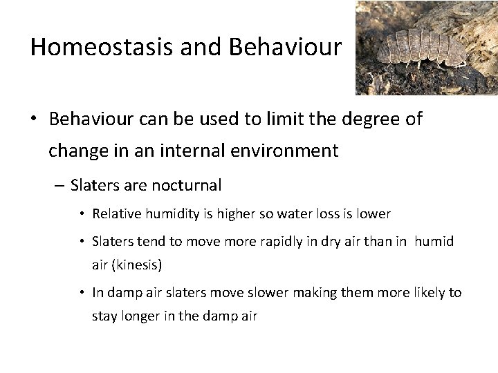 Homeostasis and Behaviour • Behaviour can be used to limit the degree of change