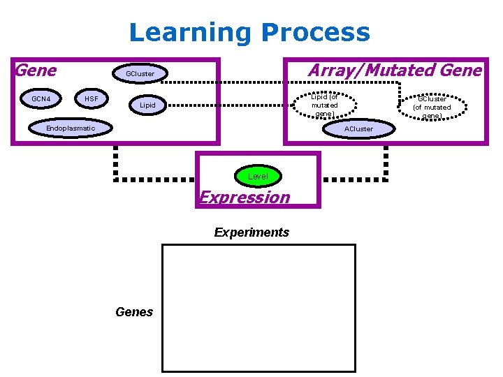 Learning Process Gene GCN 4 Array/Mutated Gene GCluster HSF Lipid (of mutated gene) Lipid