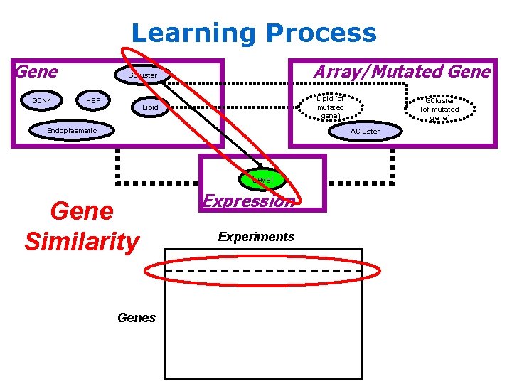 Learning Process Gene GCN 4 Array/Mutated Gene GCluster HSF Lipid (of mutated gene) Lipid