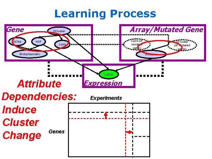 Learning Process Gene GCN 4 Array/Mutated Gene GCluster HSF Lipid (of mutated gene) Lipid