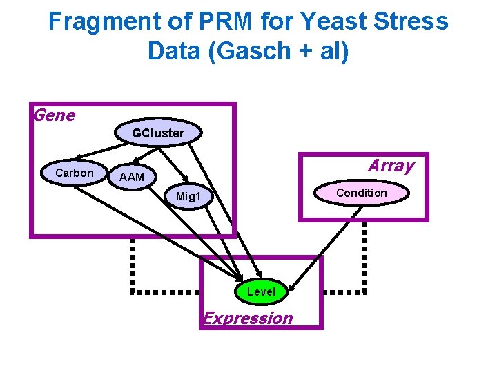 Fragment of PRM for Yeast Stress Data (Gasch + al) Gene GCluster Carbon Array