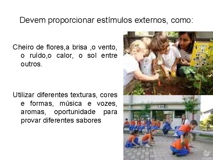 Devem proporcionar estímulos externos, como: Cheiro de flores, a brisa , o vento, o