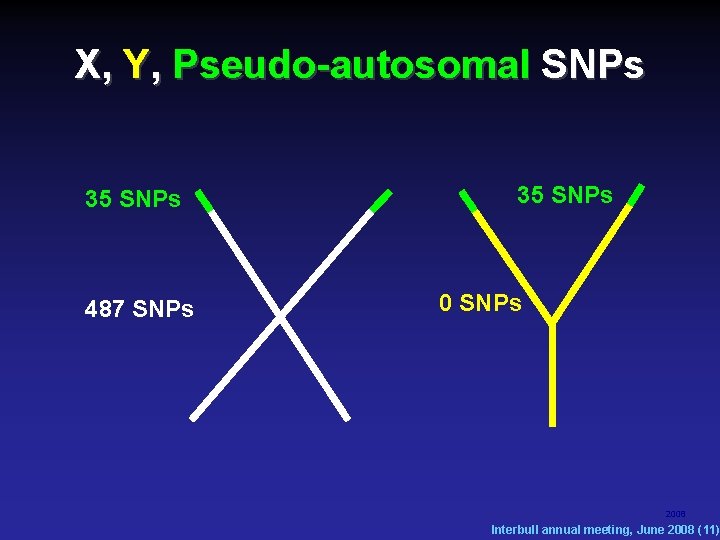 X, Y, Pseudo-autosomal SNPs 35 SNPs 487 SNPs 35 SNPs 0 SNPs 2008 Interbull X, Y, Pseudo-autosomal SNPs 35 SNPs 487 SNPs 35 SNPs 0 SNPs 2008 Interbull
